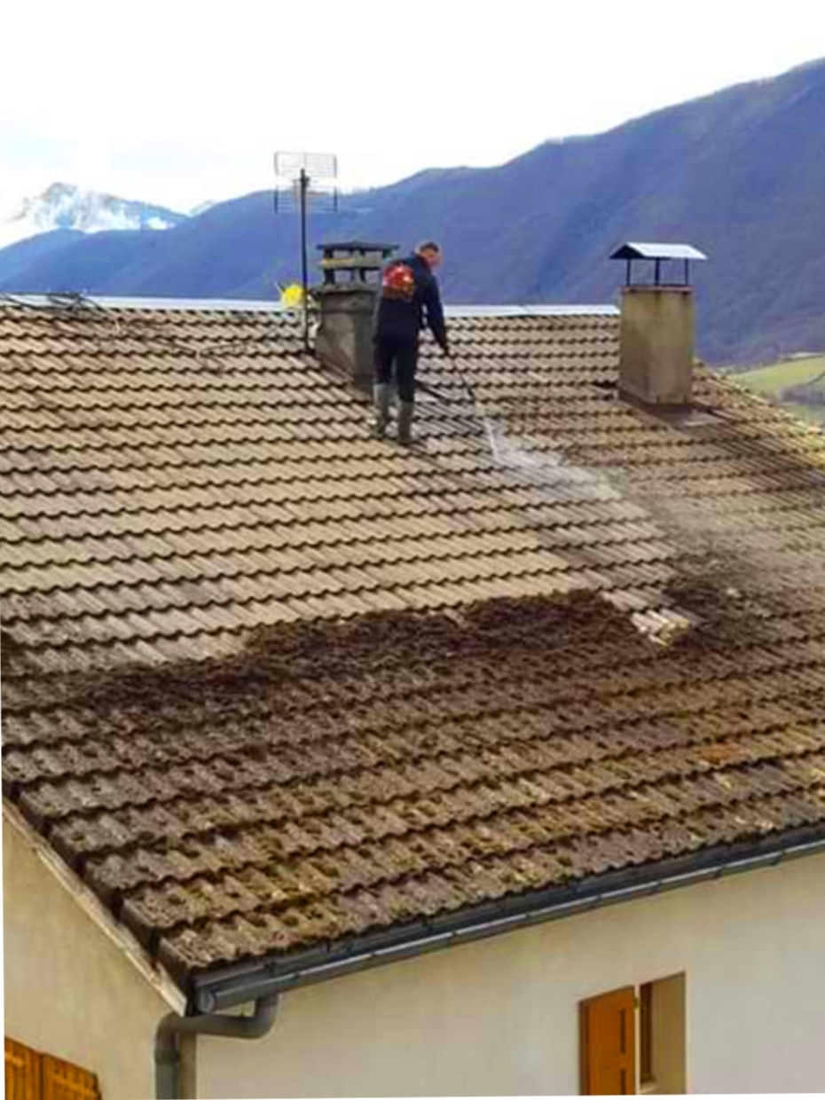 Démoussage Toiture à Grenoble et en Isère : Ne laissez pas le gel détruire vos tuiles !